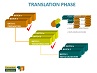 Migration Industrial Translation Phase.